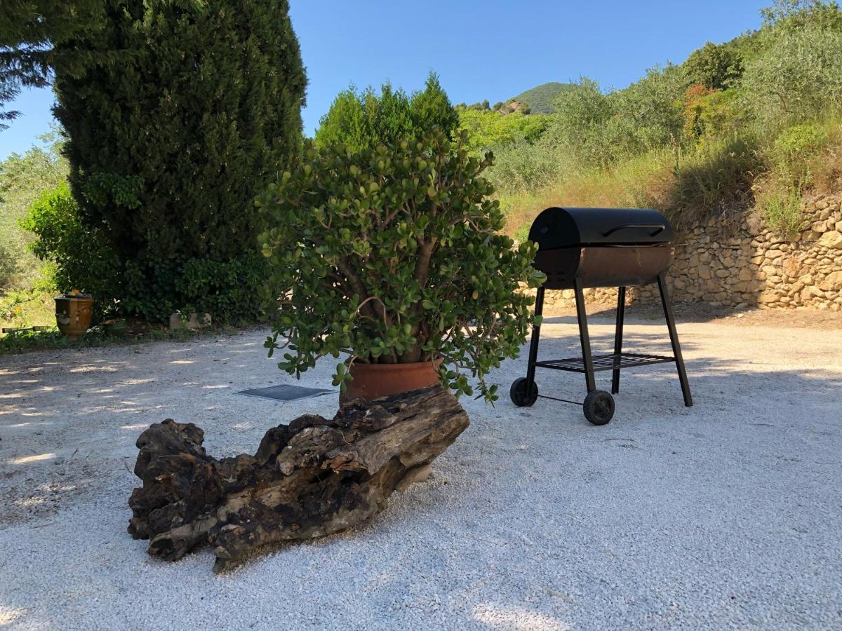 Mas Provencal La Serallere Au Coeur Des Oliviers Venterol  Exterior foto